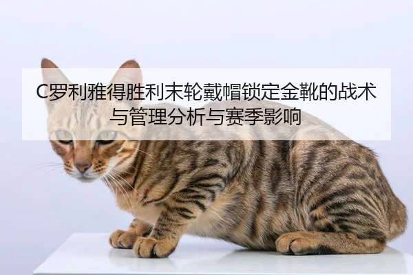luo-li-ya-de-sheng-li-mo-lun-dai-mao-suo-ding-jin-xue-de-zhan-shu-yu-guan-li-fen-xi-yu-sai-ji-ying-xiang-3-100.jpg
