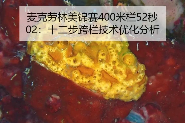 麦克劳林美锦赛400米栏52秒02：十二步跨栏技术优化分析
