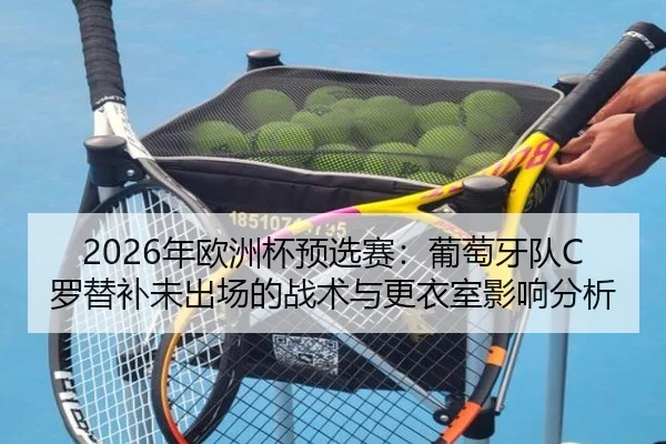 nian-ou-zhou-bei-yu-xuan-sai-pu-tao-ya-dui-luo-ti-bu-wei-chu-chang-de-zhan-shu-yu-geng-yi-shi-ying-xiang-fen-xi-2-179.jpg